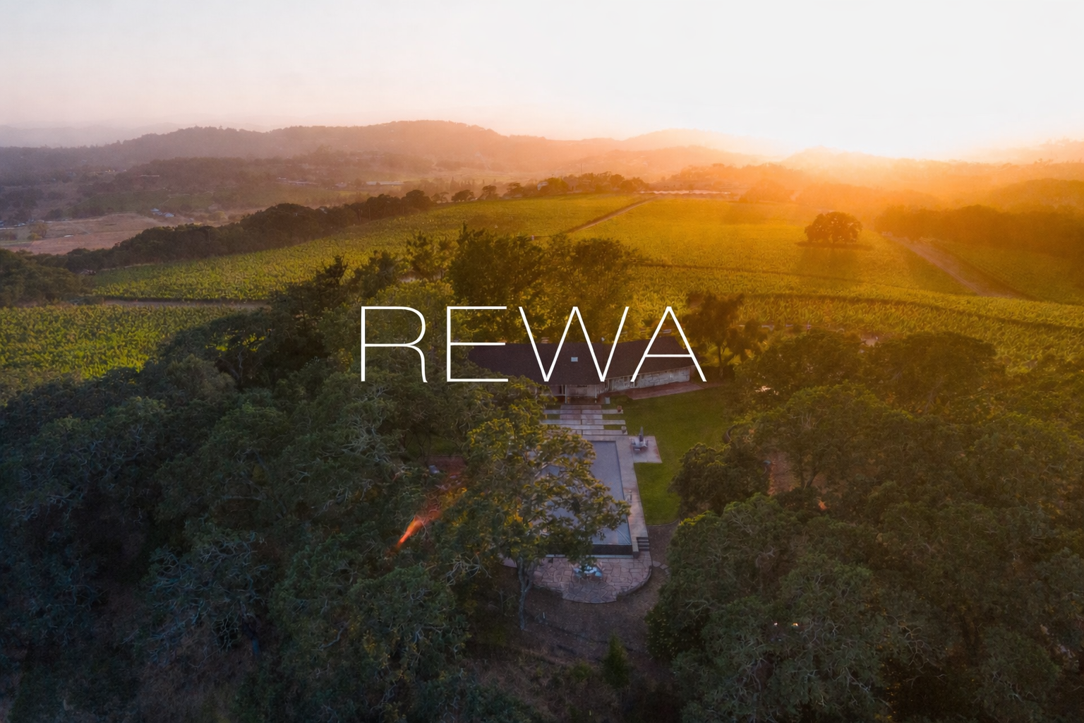 Rewa Vineyards header image